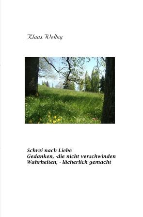 Schrei nach Liebe Gedanken, die nicht verschwinden Wahrheiten, – lächerlich gemacht von Wollny,  Klaus