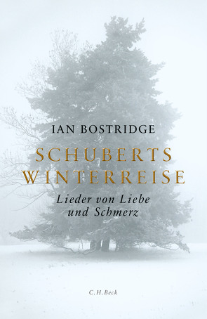 Schuberts Winterreise von Bostridge,  Ian, Zettel,  Annabel