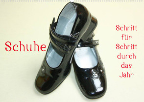Schuhe – Schritt für Schritt durch das Jahr (Wandkalender 2022 DIN A2 quer) von Kapp,  Lilo