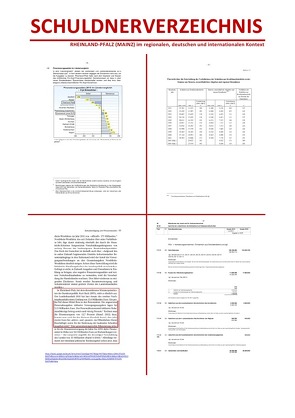 SCHULDNERVERZEICHNIS – RHEINLAND-PFALZ (MAINZ) im regionalen, deutschen und internationalen Kontext von der Pfalz (SkPdP),  Sozialkritische Professionals