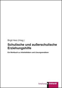 Schulische und außerschulische Erziehungshilfe von Herz,  Birgit