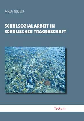 Schulsozialarbeit in schulischer Trägerschaft von Terner,  Anja