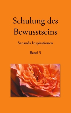 Schulung des Bewusstseins – Sananda Inspirationen von Kopka,  Martin, Stuckert,  Heike