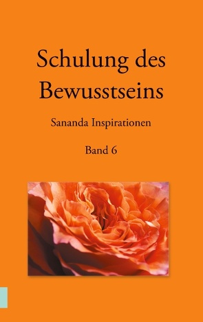 Schulung des Bewusstseins – Sananda Inspirationen von Kopka,  Martin, Stuckert,  Heike