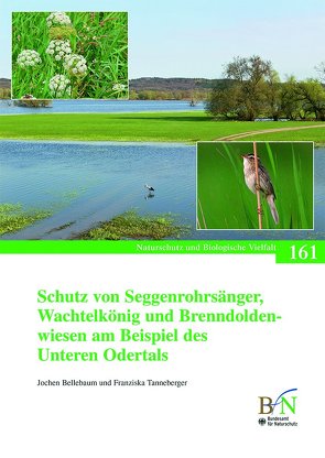 Schutz von Seggenrohrsänger, Wachtelkönig und Brenndoldenwiesen am Beispiel des Unteren Odertals von Bellebaum,  Jochen, Bundesamt für Naturschutz, Tanneberger,  Franziska