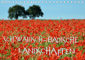 SCHWÄBISCH-BADISCHE LANDSCHAFTEN (Tischkalender 2021 DIN A5 quer) von Mathias,  Simone