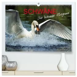 SCHWÄNE. (hochwertiger Premium Wandkalender 2024 DIN A2 quer), Kunstdruck in Hochglanz von Henry,  Philippe