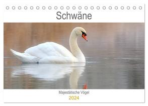 Schwäne Majestätische Vögel (Tischkalender 2024 DIN A5 quer), CALVENDO Monatskalender von Bogner,  J.R.