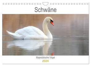 Schwäne Majestätische Vögel (Wandkalender 2024 DIN A4 quer), CALVENDO Monatskalender von Bogner,  J.R.