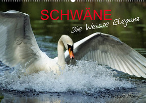 SCHWÄNE. (Wandkalender 2023 DIN A2 quer) von Henry,  Philippe