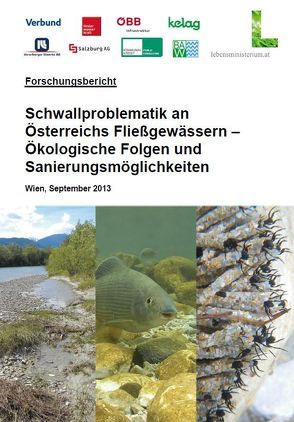 Schwallproblematik an Östereichs Fließgewässern – Ökologische Folgen und Sanierungsmöglichkeiten von BMLFUW,  Abt. IV 3, St. Schmutz,  Ao.Uiv.Prof. DI Dr. rer.nat. techn.