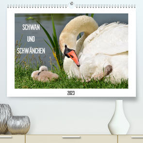 SCHWAN UND SCHWÄNCHEN (Premium, hochwertiger DIN A2 Wandkalender 2023, Kunstdruck in Hochglanz) von Gaudig,  Marlise