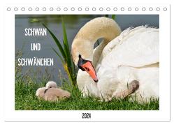 SCHWAN UND SCHWÄNCHEN (Tischkalender 2024 DIN A5 quer), CALVENDO Monatskalender von Gaudig,  Marlise