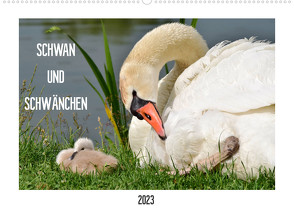 SCHWAN UND SCHWÄNCHEN (Wandkalender 2023 DIN A2 quer) von Gaudig,  Marlise