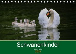 Schwanenkinder (Tischkalender 2019 DIN A5 quer) von Hueber,  Kathrin