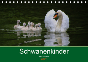 Schwanenkinder (Tischkalender 2020 DIN A5 quer) von Hueber,  Kathrin