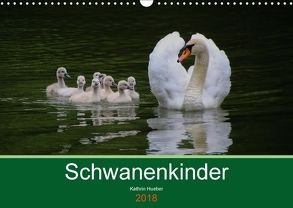 Schwanenkinder (Wandkalender 2018 DIN A3 quer) von Hueber,  Kathrin