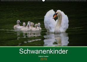 Schwanenkinder (Wandkalender 2019 DIN A2 quer) von Hueber,  Kathrin