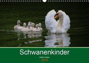 Schwanenkinder (Wandkalender 2019 DIN A3 quer) von Hueber,  Kathrin