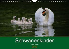 Schwanenkinder (Wandkalender 2019 DIN A4 quer) von Hueber,  Kathrin