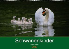 Schwanenkinder (Wandkalender 2020 DIN A2 quer) von Hueber,  Kathrin