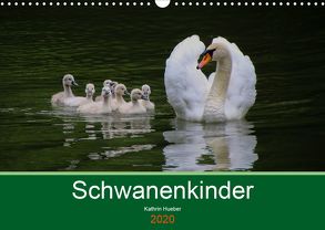 Schwanenkinder (Wandkalender 2020 DIN A3 quer) von Hueber,  Kathrin