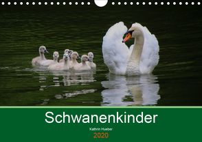 Schwanenkinder (Wandkalender 2020 DIN A4 quer) von Hueber,  Kathrin