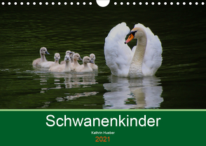 Schwanenkinder (Wandkalender 2021 DIN A4 quer) von Hueber,  Kathrin