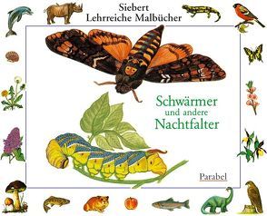 Schwärmer und Nachtfalter von Eigner,  Erwin