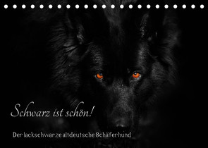 Schwarz ist schön! Der lackschwarze altdeutsche Schäferhund (Tischkalender 2023 DIN A5 quer) von Werz,  Rena