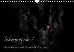 Schwarz ist schön! Der lackschwarze altdeutsche Schäferhund (Wandkalender 2023 DIN A4 quer) von Werz,  Rena