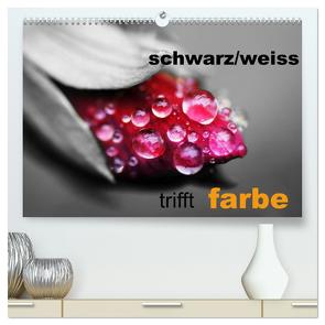 schwarz/weiß trifft farbe (hochwertiger Premium Wandkalender 2024 DIN A2 quer), Kunstdruck in Hochglanz von Kaden,  Cathrin