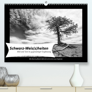 Schwarz-Weis(s)heiten (Premium, hochwertiger DIN A2 Wandkalender 2023, Kunstdruck in Hochglanz) von Klesse,  Andreas