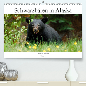 Schwarzbären in Alaska (Premium, hochwertiger DIN A2 Wandkalender 2021, Kunstdruck in Hochglanz) von Wilczek,  Dieter-M.