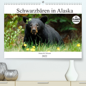 Schwarzbären in Alaska (Premium, hochwertiger DIN A2 Wandkalender 2022, Kunstdruck in Hochglanz) von Wilczek,  Dieter-M.