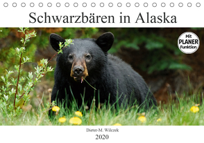 Schwarzbären in Alaska (Tischkalender 2020 DIN A5 quer) von Wilczek,  Dieter-M.