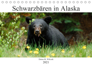 Schwarzbären in Alaska (Tischkalender 2021 DIN A5 quer) von Wilczek,  Dieter-M.