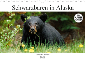 Schwarzbären in Alaska (Wandkalender 2021 DIN A4 quer) von Wilczek,  Dieter-M.