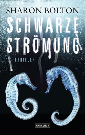 Schwarze Strömung – Lacey Flint 4 von Bezzenberger,  Marie-Luise, Bolton,  Sharon