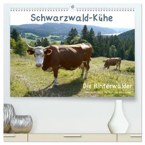 Schwarzwald-Kühe – Die Hinterwälder (hochwertiger Premium Wandkalender 2024 DIN A2 quer), Kunstdruck in Hochglanz von Goldscheider,  Biothemen,  Stefanie