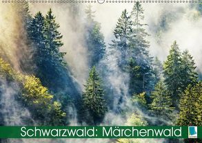 Schwarzwald: Märchenwald (Wandkalender 2019 DIN A2 quer) von CALVENDO