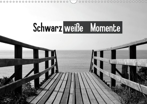 Schwarzweiße Momente (Wandkalender 2020 DIN A3 quer) von Hummelmann,  Benno