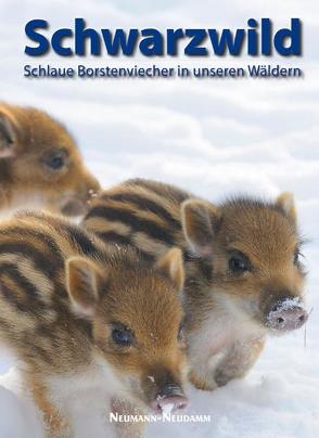 Schwarzwild von Verlag J. Neumann-Neudamm AG