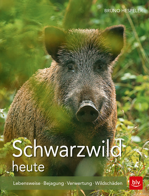 Schwarzwild heute von Hespeler,  Bruno