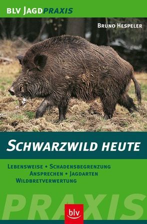 Schwarzwild heute von Hespeler,  Bruno