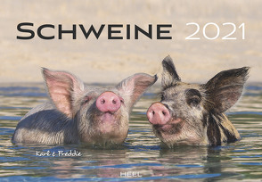 Schweine 2021