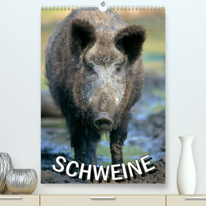 Schweine 2022 (Premium, hochwertiger DIN A2 Wandkalender 2022, Kunstdruck in Hochglanz) von N.,  N.