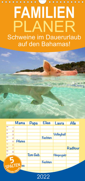 Familienplaner Schweine im Dauerurlaub auf den Bahamas! (Wandkalender 2022 , 21 cm x 45 cm, hoch) von Stanzer,  Elisabeth