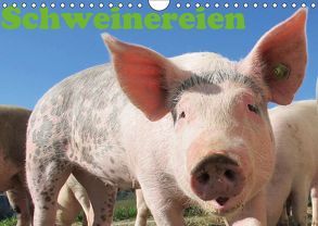 Schweinereien (Wandkalender 2019 DIN A4 quer) von Wolf,  Jan