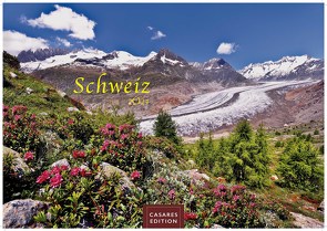 Schweiz 2024 L 35x50cm